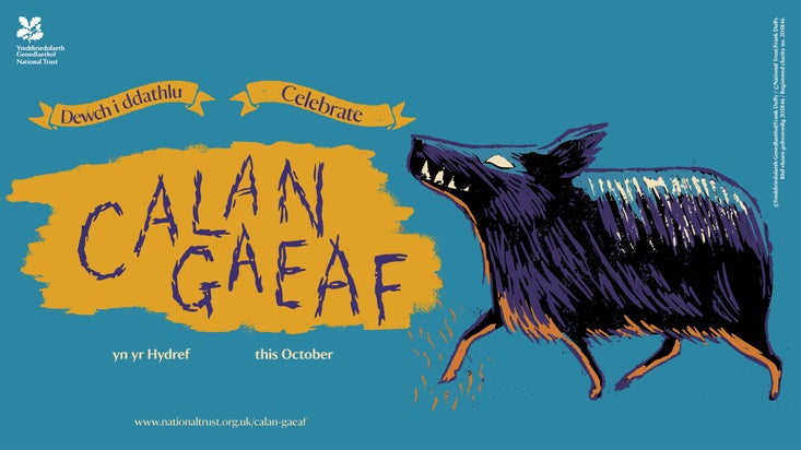 Hwch Ddu Calan Gaeaf